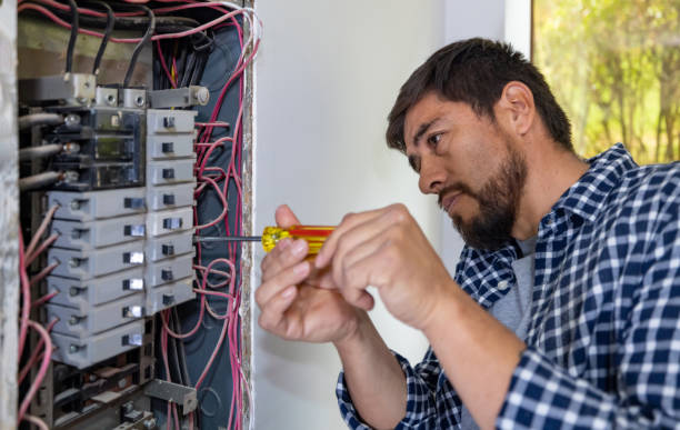 Best Electric Panel Repair  in Ridgewood, IL